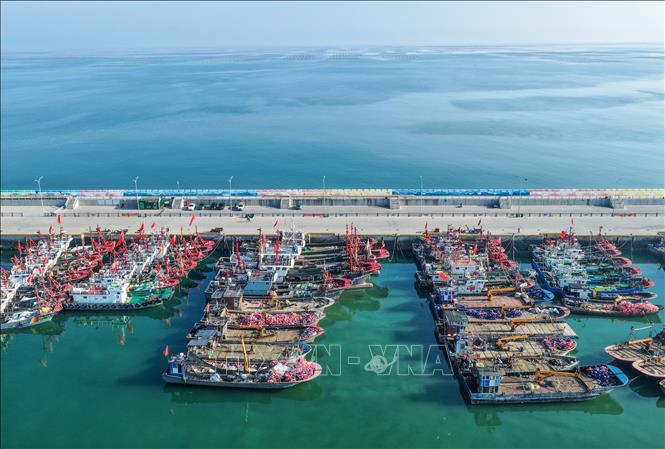 Tàu cá neo đậu tránh bão tại cảng ở tỉnh Giang Tô, miền Đông Trung Quốc, ngày 7/8/2026. Ảnh: THX/TTXVN phát