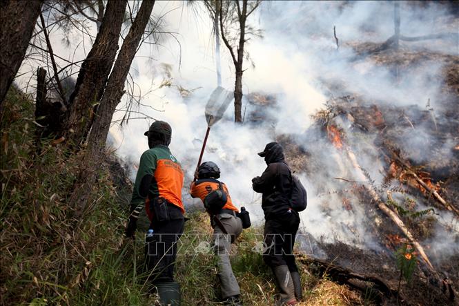 Cháy rừng lan rộng tại Vườn quốc gia Bromo Tengger Semeru, tỉnh Đông Java của Indonesia, buộc chính quyền phải đóng cửa khu du lịch núi Bromo từ tối 8/8/2026 cho đến khi có thông báo mới. Đám cháy bùng phát ngày 3/8 và đến nay đã ảnh hưởng khoảng 170-176 ha đất. Ảnh: THX/TTXVN phát