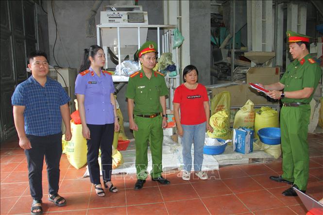 Cơ quan CSĐT Công an tỉnh Lào Cai ra quyết định khởi tố vụ án hình sự, khởi tố 2 bị can về tội “Sản xuất, buôn bán hàng giả là lương thực”. Ảnh: TTXVN phát 
