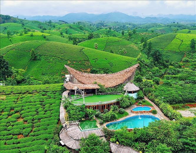 Những đồi chè nối tiếp nhau tạo nên cảnh quan đặc trưng của Long Cốc, điểm đến du lịch cộng đồng hấp dẫn của Phú Thọ. Ảnh: Tạ Toàn - TTXVN