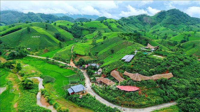 Các mô hình homestay, nghỉ dưỡng giữa vùng chè ở xã Long Cốc đã góp phần nâng cao giá trị cảnh quan và mở rộng sinh kế cho người dân địa phương. Ảnh: Tạ Toàn - TTXVN