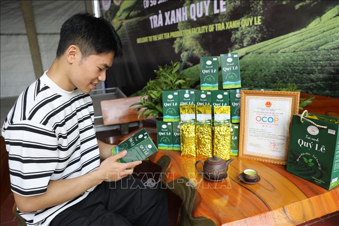 Sản phẩm trà xanh Quý Lê được xây dựng thương hiệu, đóng gói mẫu mã hiện đại, góp phần nâng cao giá trị cây chè địa phương. Ảnh: Tạ Toàn - TTXVN