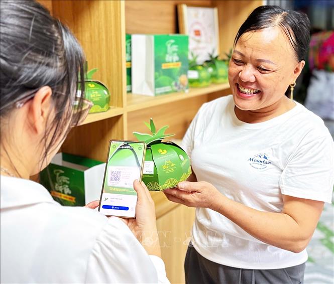 Người tiêu dùng quét mã truy xuất nguồn gốc sản phẩm chè, thể hiện việc ứng dụng chuyển đổi số trong quảng bá và tiêu thụ nông sản. Ảnh: Tạ Toàn - TTXVN