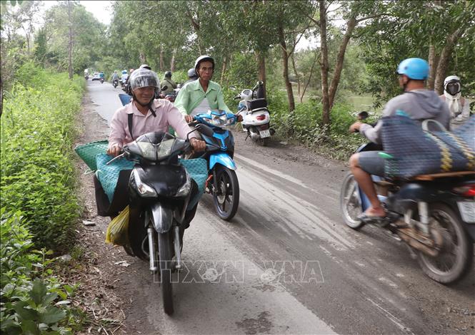 Đây là tuyến đường huyết mạch nên lượng xe lưu thông khá đồng đúc vào giờ cao điểm. Ảnh: Tuấn Phi - TTXVN 