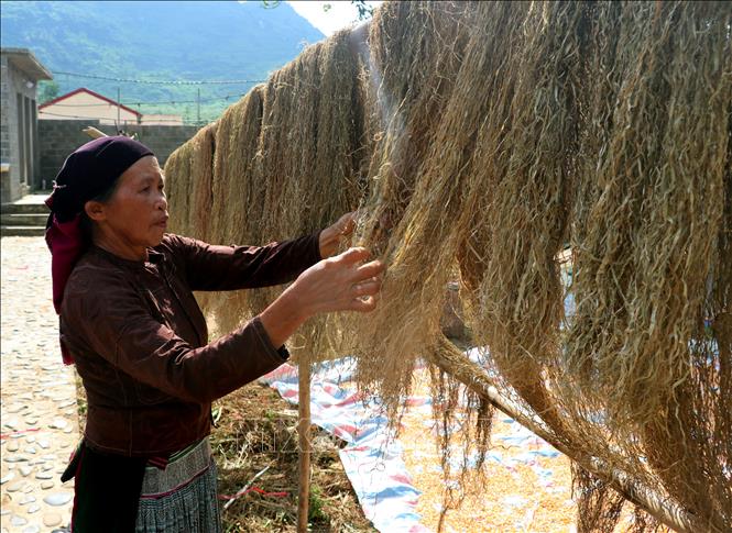 Nghệ nhân thực hiện các công đoạn chế tác vải lanh truyền thống của đồng bào Mông ở Lùng Tám (Tuyên Quang). Ảnh: Đức Thọ - TTXVN