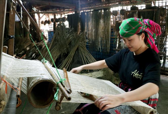 Nhiều bạn trẻ ở Lùng Tám (Tuyên Quang) học và thực hành nghề dệt lanh truyền thống, góp phần gìn giữ nét đẹp văn hóa của dân tộc Mông. Ảnh: Đức Thọ - TTXVN