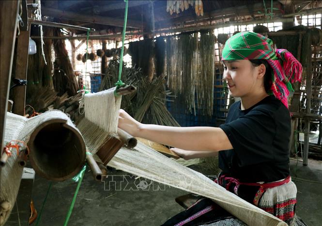 Nhiều bạn trẻ ở Lùng Tám (Tuyên Quang) học và thực hành nghề dệt lanh truyền thống, góp phần gìn giữ nét đẹp văn hóa của dân tộc Mông. Ảnh: Đức Thọ - TTXVN