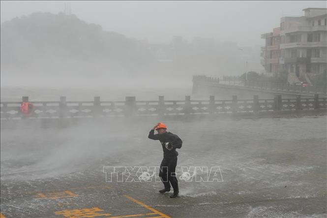 Gió lớn khi bão Dolphin đổ bộ tại khu dân cư thành phố Ngọc Hoàn, tỉnh Chiết Giang, miền Đông Trung Quốc, ngày 9/8/2026. Ảnh: THX/TTXVN phát