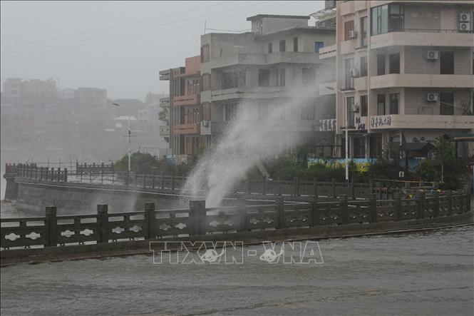 Gió lớn khi bão Dolphin đổ bộ tại khu dân cư thành phố Ngọc Hoàn, tỉnh Chiết Giang, miền Đông Trung Quốc, ngày 9/8/2026. Ảnh: THX/TTXVN phát