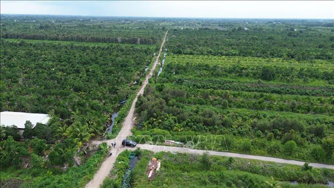 Dự án Khu công nghiệp Tân Phước 1 có quy mô sử dụng đất 470 ha, tổng vốn đầu tư hơn 5.936 tỷ đồng. Ảnh: Công Trí - TTXVN