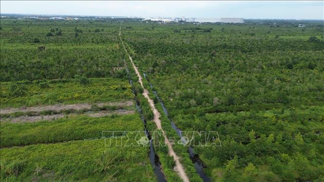 Dự án Khu công nghiệp Tân Phước 1 có quy mô sử dụng đất 470 ha, tổng vốn đầu tư hơn 5.936 tỷ đồng. Ảnh: Công Trí - TTXVN