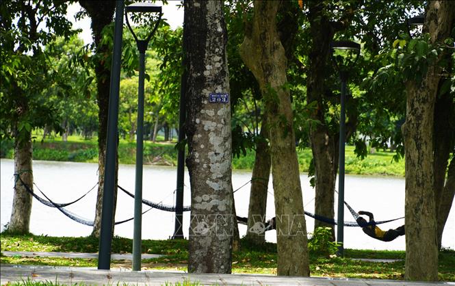 Người dân mắc võng ở Công viên cây xanh bờ Bắc sông Hương, thành phố Huế, để nghỉ ngơi tránh nắng nóng. Ảnh: Nguyên Lý - TTXVN