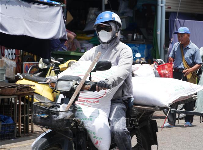 Vất vả vận chuyển hàng hóa trên đường Chương Dương - chợ Đông Ba, thành phố Huế dưới trời nắng nóng. Ảnh: Nguyên Lý - TTXVN