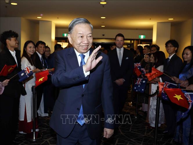Cán bộ, nhân viên Đại sứ quán, cộng đồng người Việt Nam tại Australia đón Tổng Bí thư, Chủ tịch nước Tô Lâm. Ảnh: Thống Nhất – TTXVN