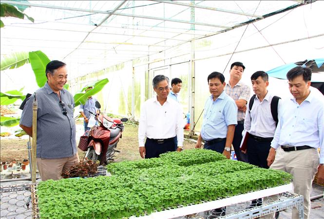 Đoàn khảo sát tại Trung tâm Giống và Hoa kiểng (xã Vĩnh Thành). Ảnh: Lê Thúy Hằng - TTXVN 
