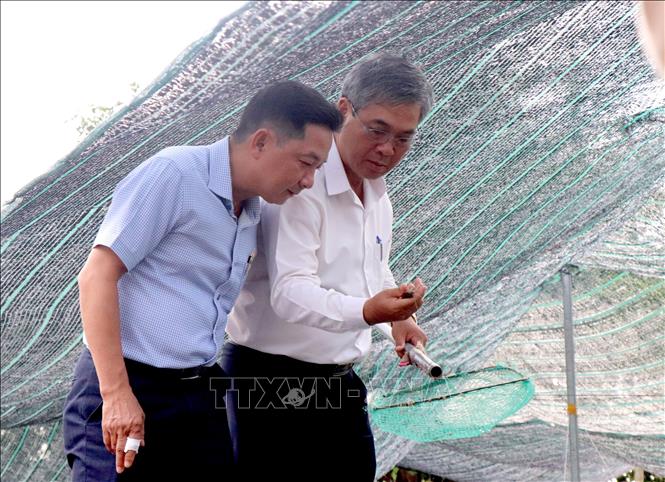 Đoàn khảo sát tại Trại Thuỷ sản (phường Tân Ngãi). Ảnh: Lê Thúy Hằng – TTXVN
