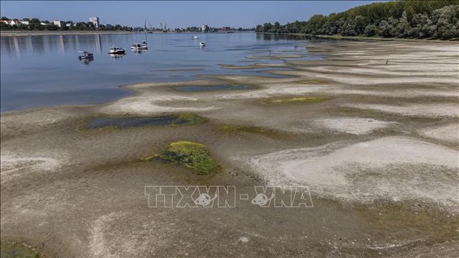 Sông Danube khô cạn do nắng nóng và hạn hán tại Vukovar, Croatia. Ảnh: THX/TTXVN phát