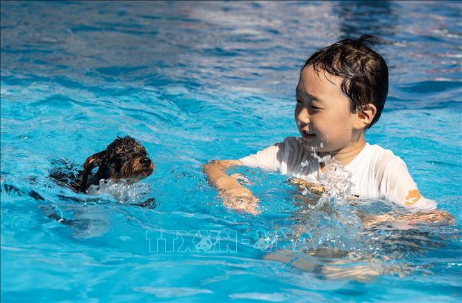 Em nhỏ tránh nóng dưới bể bơi tại Seoul, Hàn Quốc. Ảnh: THX/TTXVN phát