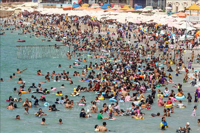Người dân tắm biển tránh nóng tại Alexandria, Ai Cập. Ảnh: THX/TTXVN phát