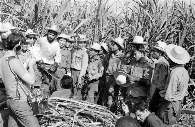 Đồng chí Fidel Castro tham gia lao động chặt mía cùng đoàn 2 miền Nam - Bắc Việt Nam nhân kỷ niệm Ngày thành lập Mặt trận DTGP miền Nam Việt Nam (Cuba, 20/12/1969). Ảnh: TTXVN