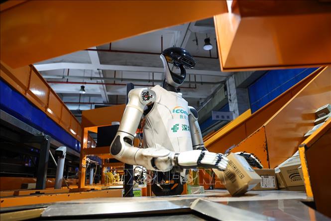 Robot hình người phân loại bưu kiện tại một trung tâm chuyển phát ở thành phố Thâm Quyến, tỉnh Quảng Đông, Trung Quốc, ngày 6/8/2026. Ảnh: THX/TTXVN phát
