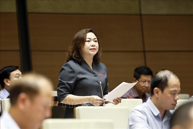 Đại biểu Quốc hội tỉnh Phú Thọ Đặng Bích Ngọc phát biểu. Ảnh: Doãn Tấn - TTXVN