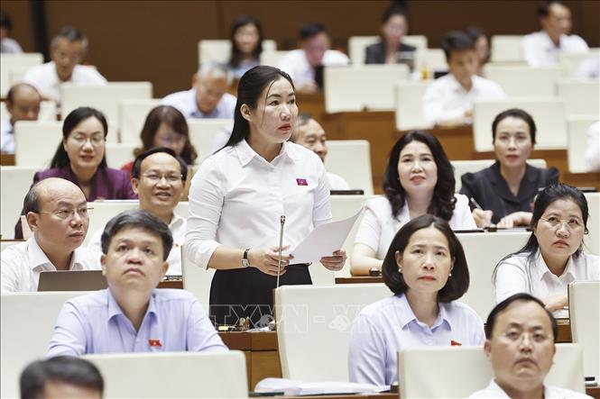 Đại biểu Quốc hội tỉnh Quảng Ngãi Trần Thị Thu Phước phát biểu. Ảnh: Doãn Tấn - TTXVN