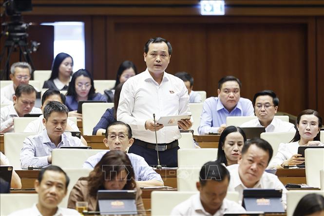 Đại biểu Quốc hội Thành phố Hồ Chi Minh Lê Văn Đông phát biểu. Ảnh: Doãn Tấn - TTXVN
