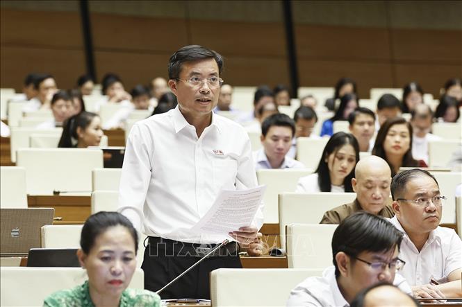 Đại biểu Quốc hội thành phố Hà Nội Nguyễn Xuân Kỳ phát biểu. Ảnh: Doãn Tấn - TTXVN