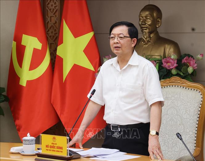 Phó Thủ tướng Hồ Quốc Dũng phát biểu chỉ đạo. Ảnh: Lâm Khánh – TTXVN