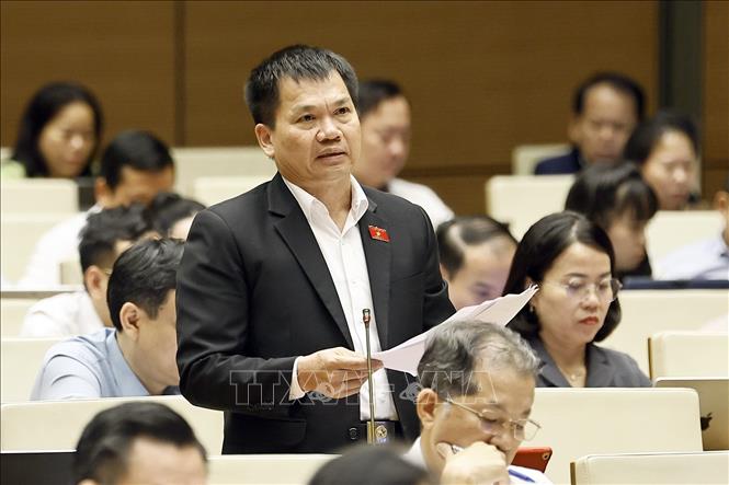 Đại biểu Quốc hội tỉnh Lâm Đồng Dương Khắc Mai phát biểu. Ảnh: Doãn Tấn - TTXVN
