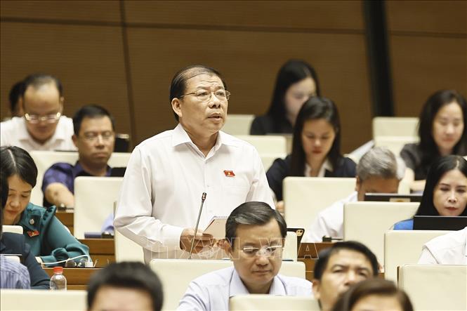 Đại biểu Quốc hội Thành phố Hồ Chí Minh Nguyễn Thanh Sang phát biểu. Ảnh: Doãn Tấn - TTXVN