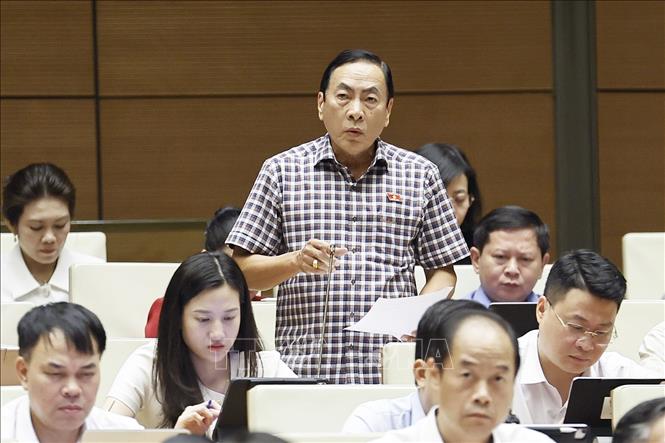 Đại biểu Quốc hội tỉnh Đồng Tháp Phạm Văn Hòa phát biểu. Ảnh: Doãn Tấn - TTXVN