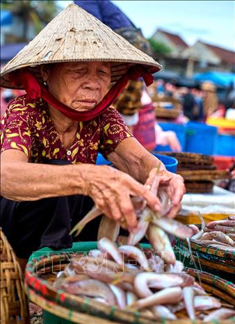 Với những người dân nơi đây, biển không chỉ là nguồn cung cấp hải sản mà còn là sinh kế gắn bó qua nhiều thế hệ. Ảnh: Khánh Hoà - TTXVN
