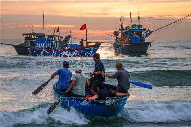 Khi tàu về cách bờ chừng 200m, ngư dân sẽ chuyển hải sản sang những chiếc thúng để đưa vào đất liền. Ảnh: Khánh Hoà - TTXVN