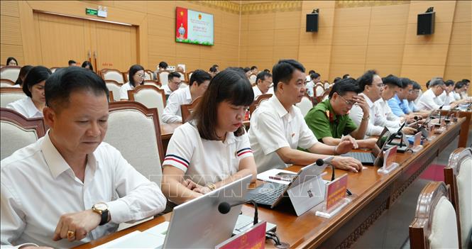 Các đại biểu tham dự kỳ họp. Ảnh: Tuấn Khôi - TTXVN