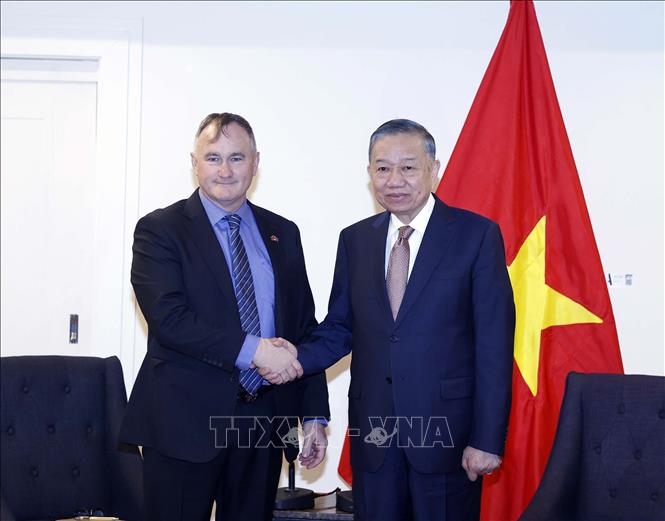 Tổng Bí thư, Chủ tịch nước Tô Lâm tiếp ông Craig Bradshaw, Giám đốc điều hành Công ty EQ Resources Limited (Australia). Ảnh: Thống Nhất – TTXVN
