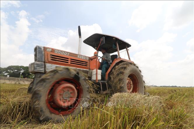 Máy cuộn rơm, thu gom rơm rạ trên đồng sau thu hoạch. Ảnh: Hồng Thái - TTXVN 
