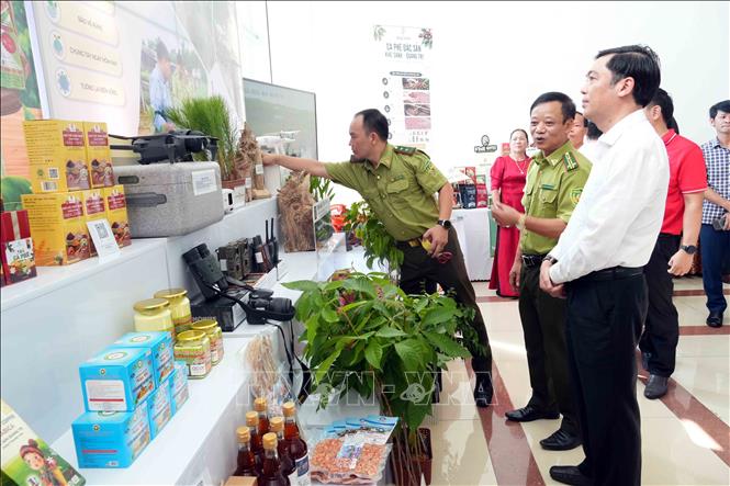 Lãnh đạo tỉnh Quảng Trị tham quan gian trưng bày các sản phẩm ứng dụng Khoa học công nghệ của Chi cục Kiểm lâm Quảng Trị bên lề Hội nghị. Ảnh: Tá Chuyên - TTXVN 