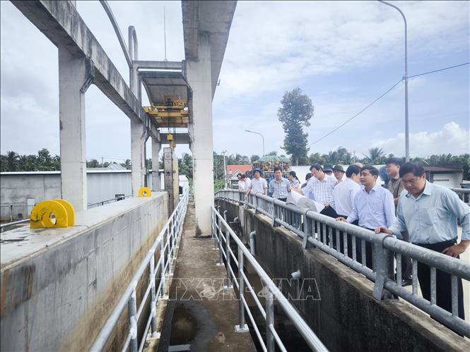 Đoàn khảo sát khu vực cống Sa Kê, xã Mỏ Cày. Ảnh: Huỳnh Phúc Hậu - TTXVN