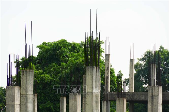 Bỏ hoang nhiều năm, sắt làm trụ bê tông Dự án Trung tâm thương mại An Hòa, thành phố Huế đã bị hoen gỉ. Ảnh: Nguyên Lý - TTXVN