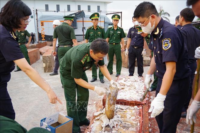 Cơ quan chức năng phát hiện hơn 1,1 tấn ngà voi. Ảnh: TTXVN phát
