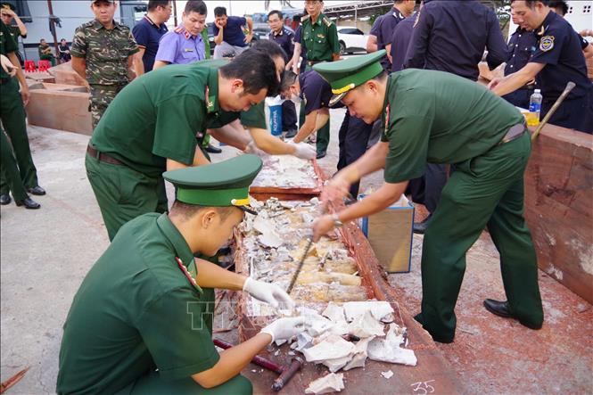 Cơ quan chức năng phát hiện hơn 1,1 tấn ngà voi. Ảnh: TTXVN phát