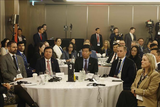 Các đại biểu dự Hội nghị bàn tròn doanh nghiệp Việt Nam - New Zealand. Ảnh: Thống Nhất – TTXVN