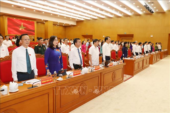 Các đại biểu thực hiện nghi thức chào cờ. Ảnh: Vũ Hoàng Giang - TTXVN