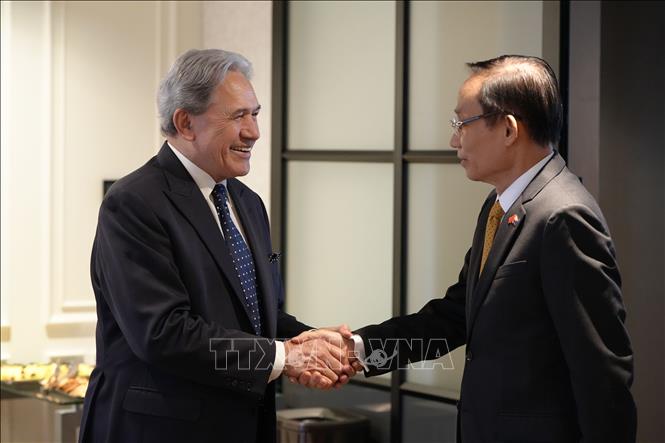 Ủy viên Bộ Chính trị, Bộ trưởng Bộ Ngoại giao Lê Hoài Trung gặp Bộ trưởng Ngoại giao New Zealand Winston Peters. Ảnh: Diệu Linh - PV TTXVN tại châu Đại Dương