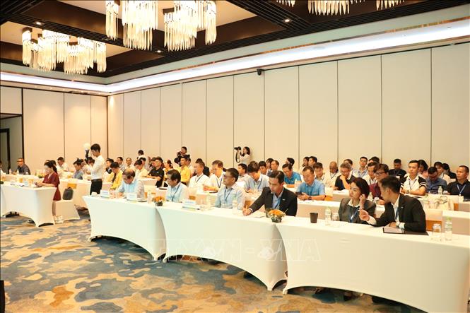Các đại biểu dự Hội thảo. Ảnh: Trần Tĩnh - TTXVN