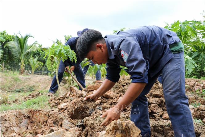 Từng thao tác đào tìm đều được các chiến sĩ thực hiện cẩn trọng. Ảnh: Hồng Thái - TTXVN