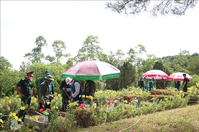 Từ ngày 26/5 đến 13/8, các lực lượng chức năng thành phố Huế đã khai quật 7.282 phần mộ liệt sĩ tại 42 nghĩa trang, hoàn thành 100% số mộ cần khai quật, lấy mẫu. Ảnh: Mai Trang - TTXVN