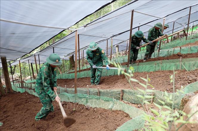 Cán bộ, chiến sĩ hướng dẫn người dân bản Ngài Thầu, xã Sì Lở Lầu lên luống trước khi xuống giống. Ảnh: Quý Trung - TTXVN